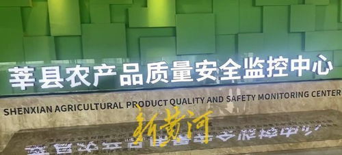 高瞰山東打卡聊城 莘縣蔬菜瓜果安全無(wú)憂(yōu)，網(wǎng)絡(luò)安全軟件開(kāi)發(fā)保障數(shù)字生活